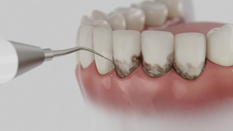 Reliable Dental contractor in Laurel, FL by Dentist Open Now